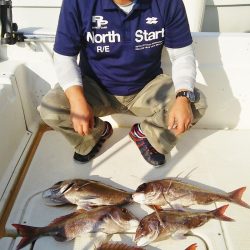 マリンガイド福丸 釣果