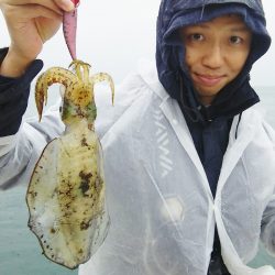 マリンガイド福丸 釣果