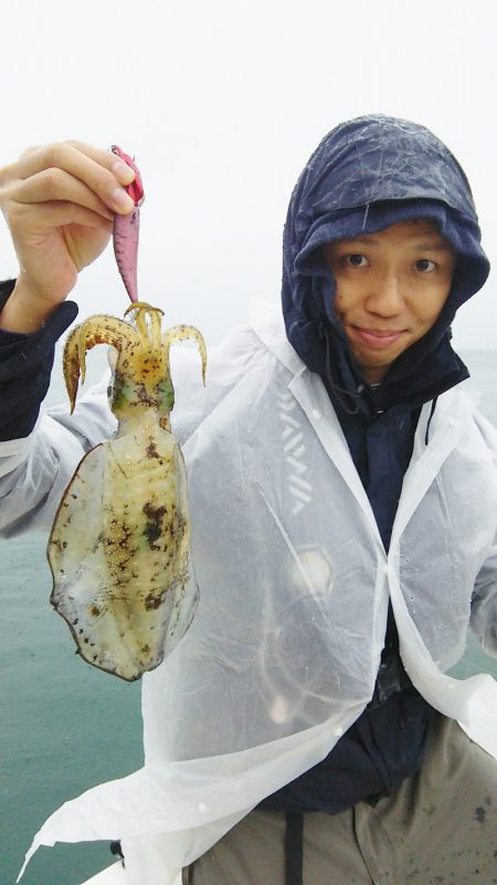 マリンガイド福丸 釣果