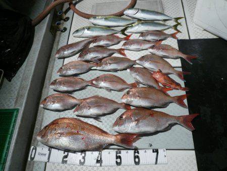 オーシャンスター(Ocean Star) …