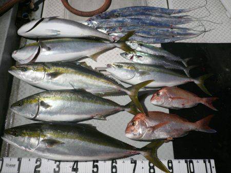 オーシャンスター(Ocean Star) …