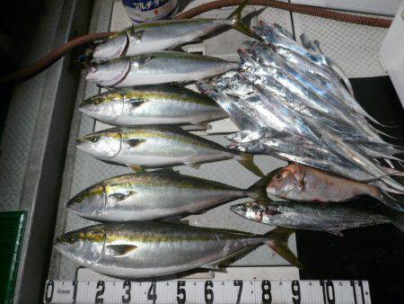 オーシャンスター(Ocean Star) …