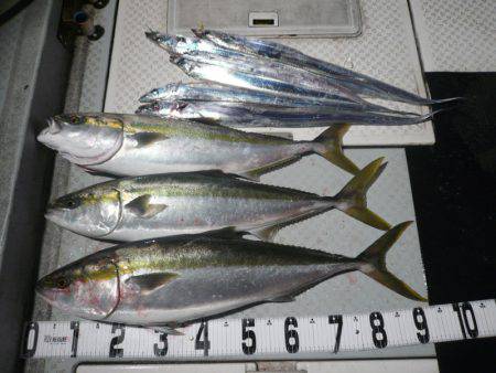 オーシャンスター(Ocean Star) …