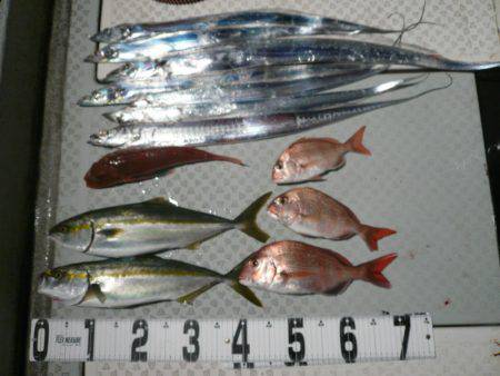 オーシャンスター(Ocean Star) …