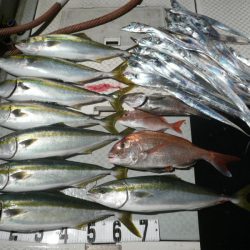 オーシャンスター(Ocean Star) 釣果