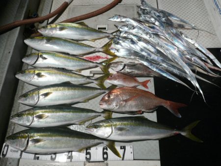 オーシャンスター(Ocean Star) …