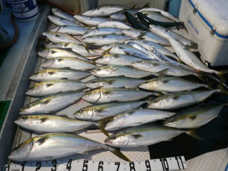 オーシャンスター(Ocean Star) …