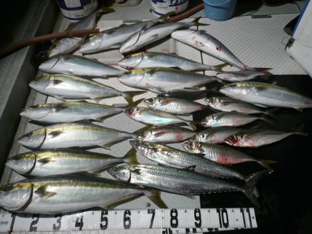 オーシャンスター(Ocean Star) …