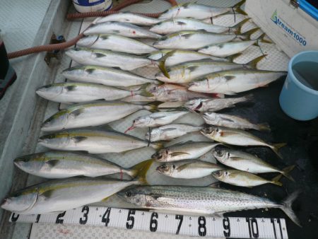 オーシャンスター(Ocean Star) …