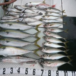 オーシャンスター(Ocean Star) 釣果