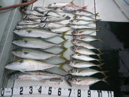 オーシャンスター(Ocean Star) …