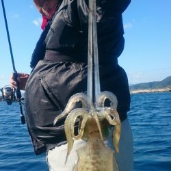 シースナイパー海龍 釣果