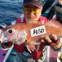 ぽん助丸 釣果