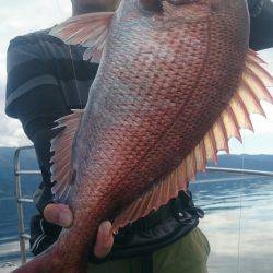 シースナイパー海龍 釣果
