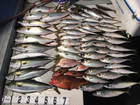 オーシャンスター(Ocean Star) …