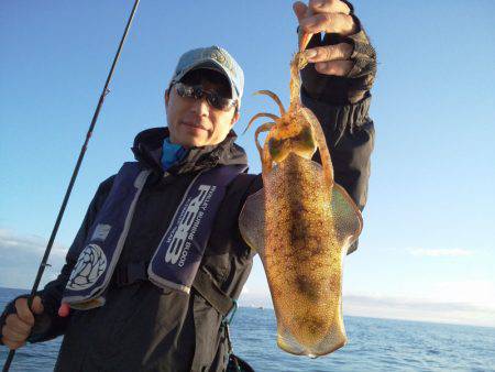 ひな丸 釣果