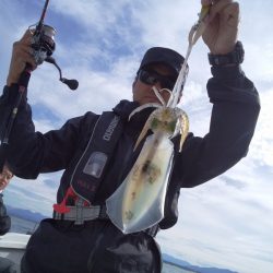 ひな丸 釣果