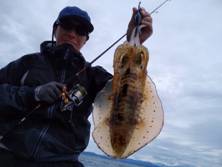 ひな丸 釣果
