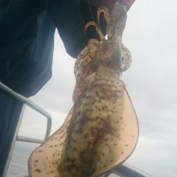 シースナイパー海龍 釣果