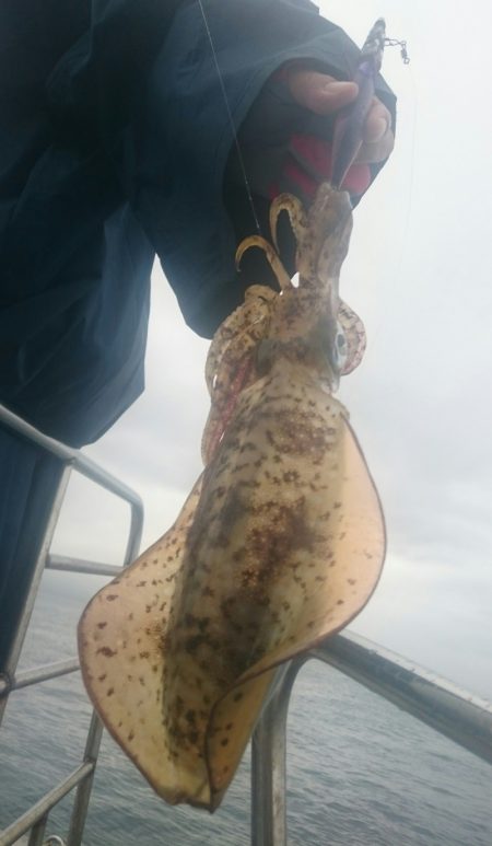 シースナイパー海龍 釣果