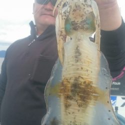 シースナイパー海龍 釣果