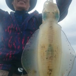 シースナイパー海龍 釣果