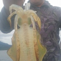 シースナイパー海龍 釣果