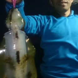 シースナイパー海龍 釣果