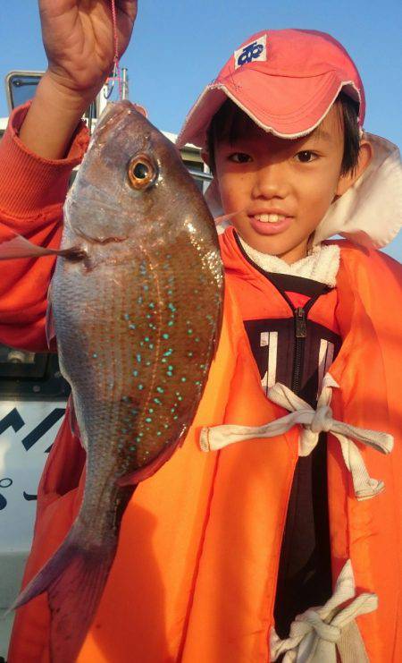 シースナイパー海龍 釣果