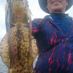 シースナイパー海龍 釣果