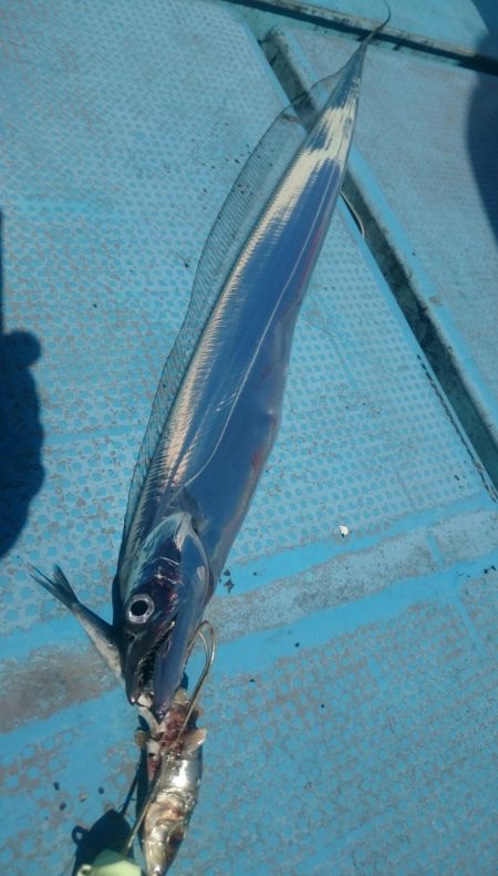 シースナイパー海龍 釣果