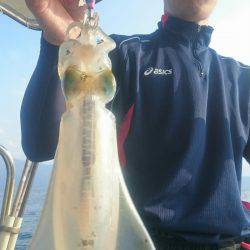 シースナイパー海龍 釣果