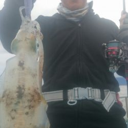 シースナイパー海龍 釣果