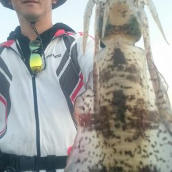 シースナイパー海龍 釣果