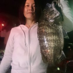 シースナイパー海龍 釣果