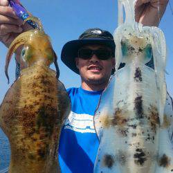 シースナイパー海龍 釣果