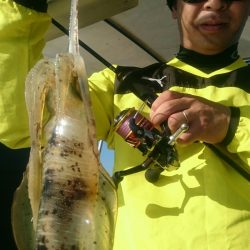 シースナイパー海龍 釣果