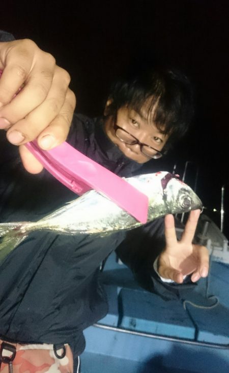 シースナイパー海龍 釣果