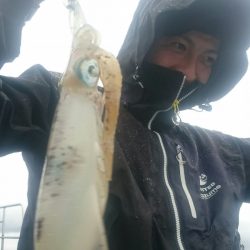 シースナイパー海龍 釣果