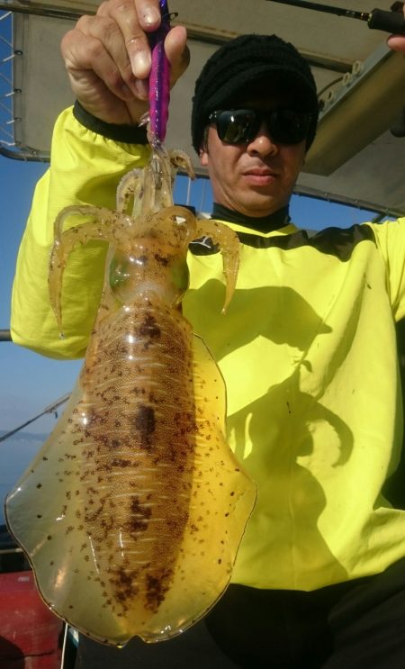 シースナイパー海龍 釣果