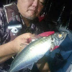 シースナイパー海龍 釣果