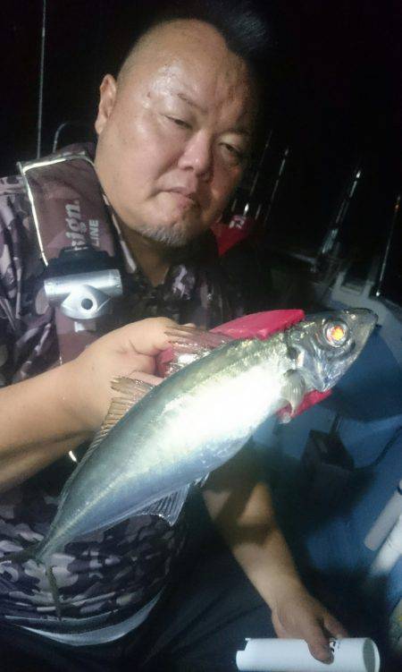 シースナイパー海龍 釣果