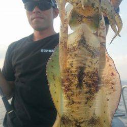 シースナイパー海龍 釣果