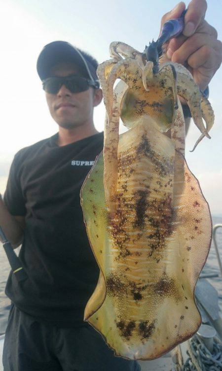 シースナイパー海龍 釣果