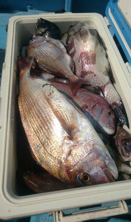 シースナイパー海龍 釣果