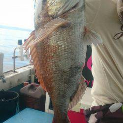 シースナイパー海龍 釣果