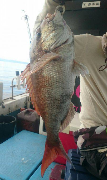 シースナイパー海龍 釣果