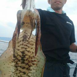 シースナイパー海龍 釣果