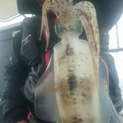 シースナイパー海龍 釣果