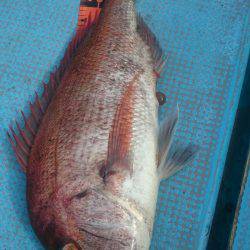 シースナイパー海龍 釣果